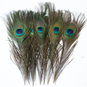 Peacock Feather | Tall Vase Decor 90-100 CM Peacock Feather | Tall Vase Decor 90-100 CM